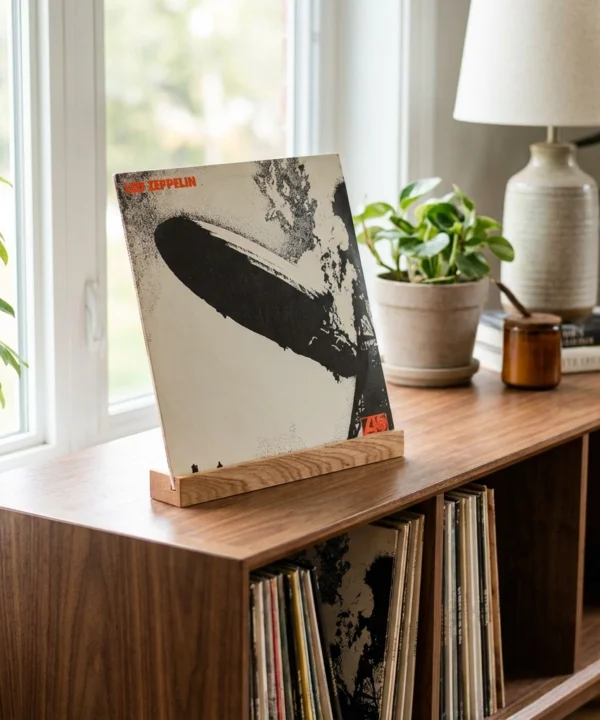 JK001 Vinylhallare bord 5